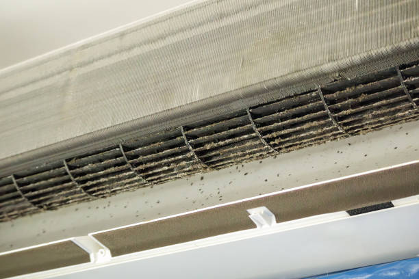 Best Air Duct Cleaning Near Me  in Evans, GA