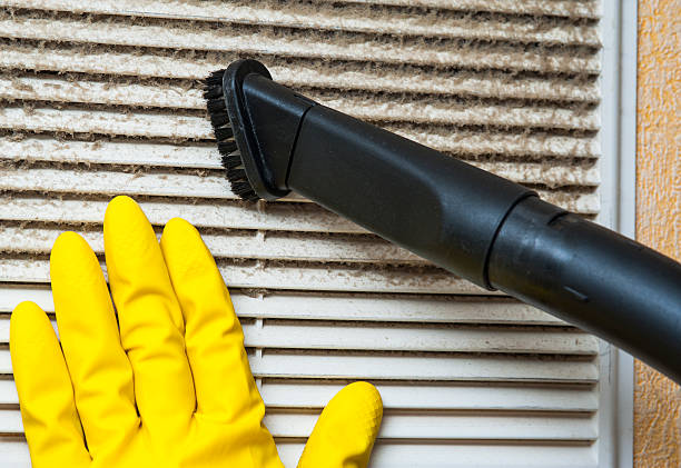 Best Ventilation Cleaning Services  in Evans, GA